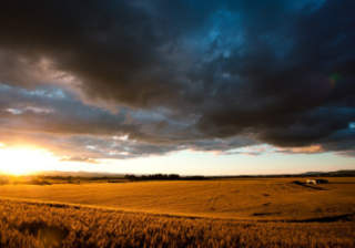 在华为商店投放信息流广告需要什么资质？