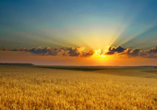 想在华为手机的浏览器上投放广告，应该找哪里呢？