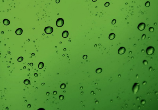 上海减肥行业在华为商店怎么开户？