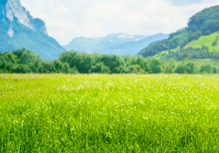 小米信息流广告是如何推动制造业转型？