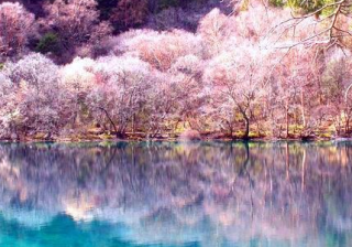 小米广告全国有哪些代理商？小米推广效果好吗？