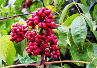 为什么说小米推广可以窥探整个悲伤的人生？