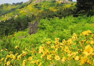 小米信息流广告跑奶粉现在效果怎么样？