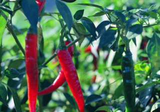 祛痘广告跑小米商店推广日耗是多少？