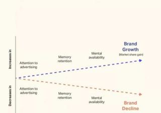 广告可见度≠消费者关注度，品牌营销的破局新出路在哪？