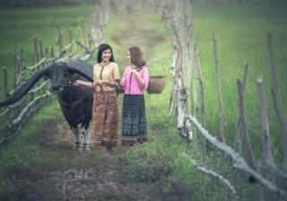 魅族信息流广告竞价多少钱？魅族商店开户客服电话是多少？