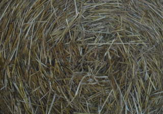 魅族推广方式有哪些？魅族投放推广电话是多少？