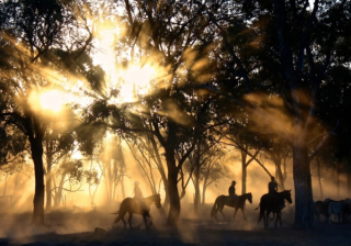 魅族商店开户客服电话是多少？魅族推广电话是多少？