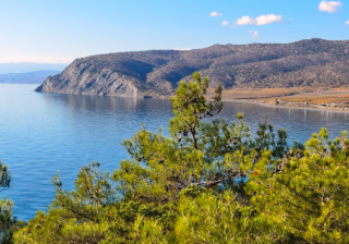 魅族推广怎么投放？魅族推广开户公司谁家做得好？