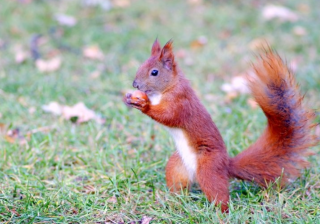 uc平台广告投放跑广告效果好不好？uc广告电话是多少？