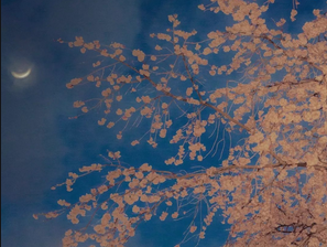 uc信息流广告代理商电话是多少？UC推广吊顶材料怎么收费？