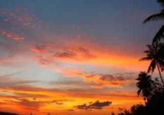 wps信息流广告怎么收费？WPS跑健身器材成本是多少？