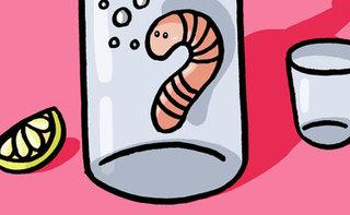 wps信息流推广好不好？wps广告怎么收费？