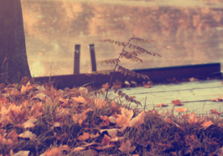 酷狗音乐跑汽车广告投放案例有哪些？广告展现位有哪些？