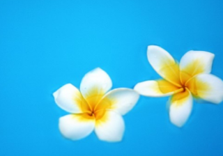 酷狗音乐推广怎么做？酷狗跑玻璃成本需要多少钱？