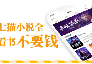 教育培训的七猫视频营销指南！七猫广告怎么投放呢？