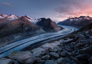 智慧树广告代理商电话是多少？智慧树水产行业信息流广告账户如何开通？