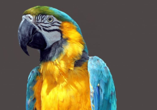 智慧树开户怎么收费？