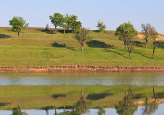 懂球帝跑足球广告优惠活动有哪些？懂球帝广告投放有哪些技巧？