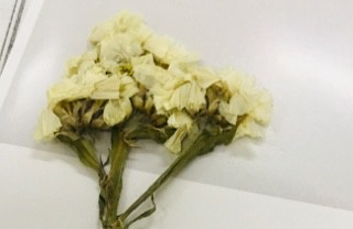 懂球帝信息流开户怎么做？懂球帝信息流开户怎么收费？