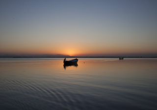 智慧树app里的广告怎么收费?服装行业在智慧树投放广告效果怎么样?