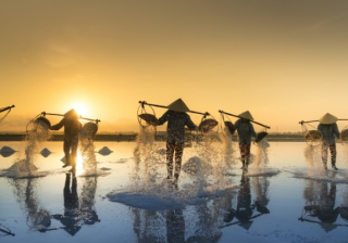 懂球帝推广电话是多少？懂球帝现在跑饲料成本多少？