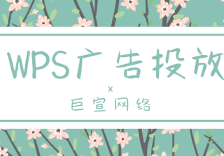 小说类的推广应该如何在WPS上进行？