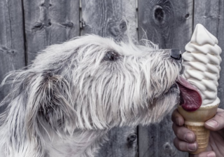 懂球帝信息流广告账户开通需要多少钱呢？懂球帝代理商是哪家？