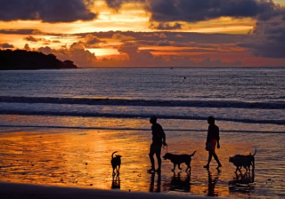 你知道懂球帝开户需要多少钱吗？懂球帝现在跑量具效果怎么样？