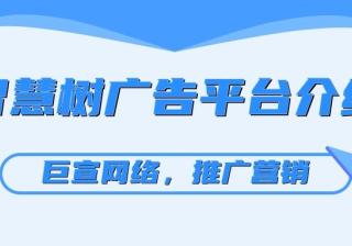 智慧树广告投放的费用是多少，您知道吗？