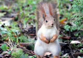 快手现在跑农业成本需要多少钱呢？快手代理商电话是多少？