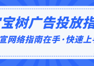 宝宝树广告平台人群的行为趋势是怎样的？