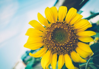 酷狗广告怎么投放?酷狗现在跑绳索返点多少？