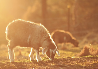 美柚跑数码返点多少？美柚上跑电脑软件效果好吗？
