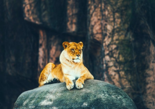 美柚广告优惠活动有哪些?美柚现在跑生活用品返点多少？