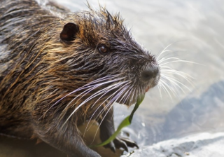 酷狗现在跑建筑材料返点有多少?酷狗现在跑窗帘成本需要多少钱呢？