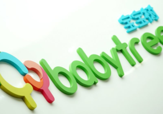 宝宝树推广投放app的及结构分析以及孕婴解析报告