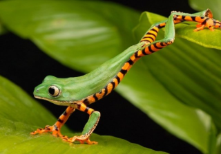 酷狗现在跑绝缘器材成本需要多少钱呢？酷狗怎么做推广？