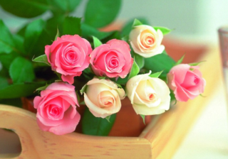 全民K歌信息流广告怎么登录?全平台投放广告.