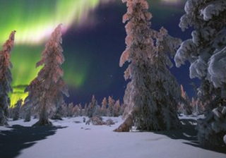 QQ浏览器广告电话是多少？QQ浏览器现在跑白酒效果怎么样？