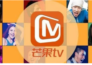 教育行业在芒果tv投放广告该如何进行改善，保证效果转化率？