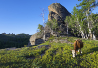 芒果TV广告怎么做？芒果TV视频开户流程。