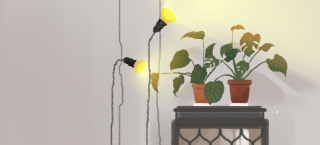 inmobi信息流开户价格是多少？开户流程有哪些？