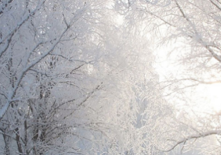 爱奇艺跑调味品广告投放案例有哪些？怎样展现的？