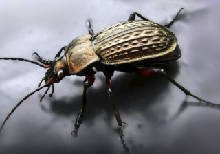 你知道芒果信息流怎么投放吗？芒果视频现在跑减肥成本需要多少钱呢？