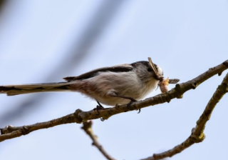 芒果现在跑水果批发成本需要多少钱呢？芒果现在跑摆摊成本需要多少钱呢？