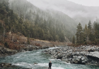 亚马逊信息流广告政策全球第三方卖家业务表现抢眼