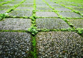 高高德地图投放广告平台联合未来交通报告！