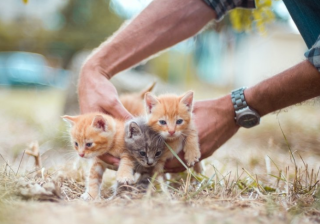 linkedin广告效果怎么样?linkdein广告客服电话是多少？