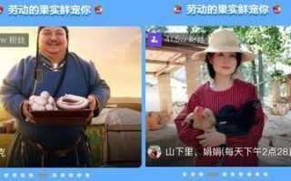 快手短视频广告怎么做？快手短视频现在跑农业成本需要多少钱呢？